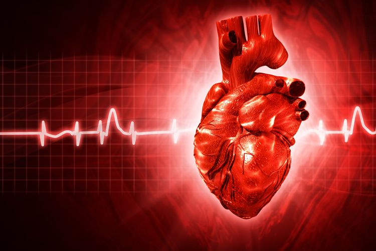 Eine häufige Ursache das Schlaganfalls, vor allem bei älteren Menschen, ist die im Elektrokardiogramm (EKG) einfach zu sichernde Herzrhythmusstörung Vorhofflimmern.