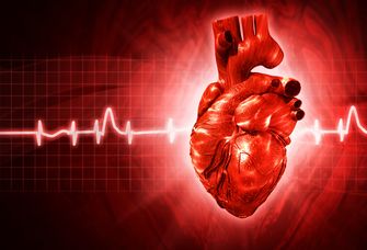 Eine häufige Ursache das Schlaganfalls, vor allem bei älteren Menschen, ist die im Elektrokardiogramm (EKG) einfach zu sichernde Herzrhythmusstörung Vorhofflimmern.
