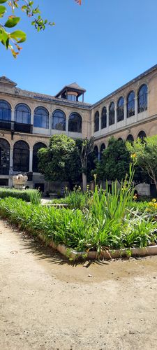 Blick vom Innenhof auf die Universität,mit einem Pflanzenbeet im Vordergrund