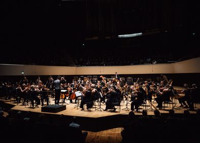 Musiker:innen des Orchesters während eines Konzerts im Gewandhaus