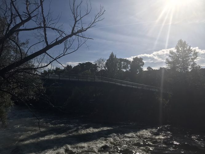Die Fotografie zeigt den Grazer Fluss Mur, fotografiert von der Seite. An den Seiten des Flusses sieht man Bäume. Die Sonne scheint durch die Blätter. 