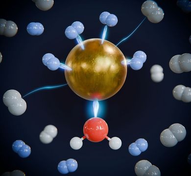 Illustration of the preferential binding of heavy hydrogen (blue) to light hydrogen (white) at the metal centre, activated by the binding of a water molecule (oxygen red, hydrogen white).