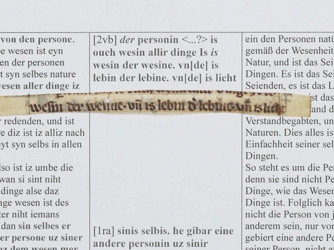 Auf den Pergamentfragmenten sind Ausschnitte aus dem weit verbreiteten Text "Von zweierlei Wegen" erhalten.