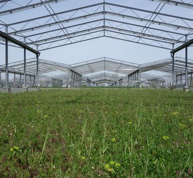 Test plot with sustainable grassland use in the GCEF field experiment overseen by the Helmholtz Centre for Environmental Research (UFZ) in Bad Lauchstädt. The roof structures simulate future climate conditions such as summer drought and warming. Photo: Marie Sünnemann