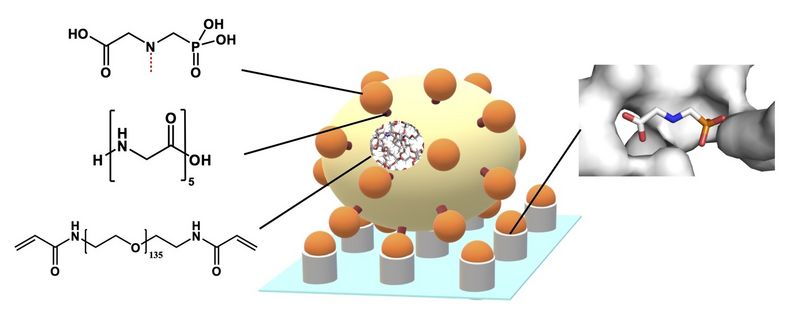 Graphical representation of the detection principle.