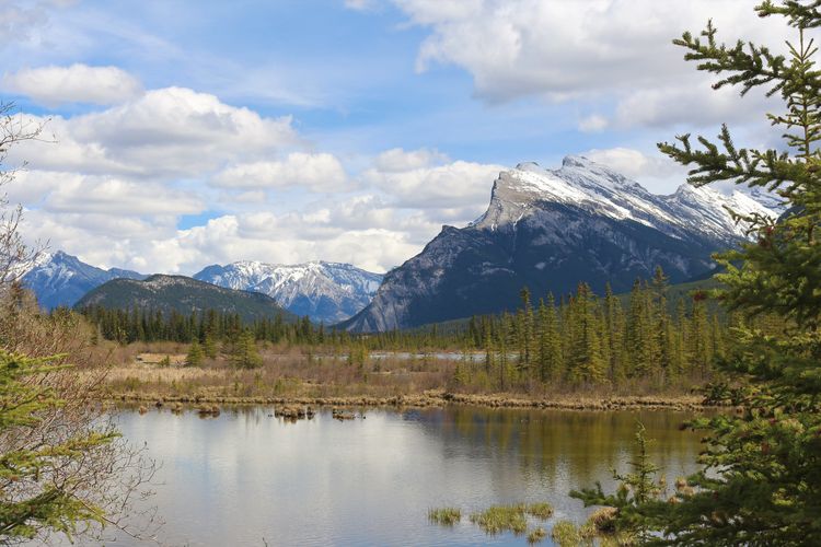 Der Vordergrund des Bildes wird durch einen See geziert. Im Hintergrund befindet sich hohe graue Berge, welche oben mit Schnee bedeckt sind. Zwischen See und Bergen befindet sich ein Abschnitt mit Bäumen.