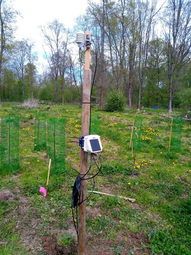 Eine Klimamessstation, ein Klimalogger, ist mit einem Temperatur- und Feuchtesensor in zwei Metern Höhe verbunden. Nach unten führen Kabel zu einem Sensor in zehn Zentimetern und einem Sensor in 50 Zentimetern Tiefe, die jeweils die Bodentemperatur und -feuchte messen. Die Messststation steht auf einer forstlich angelegten Lichtung.