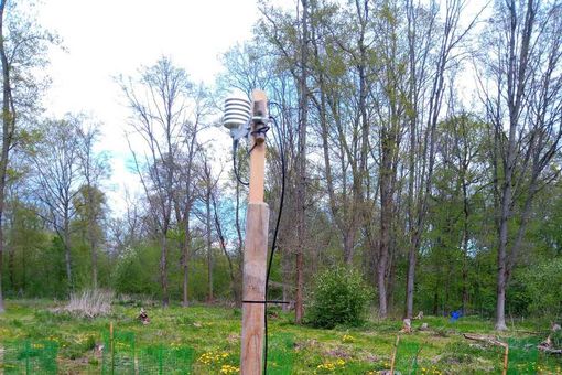 Eine Klimamessstation, ein Klimalogger, ist mit einem Temperatur- und Feuchtesensor in zwei Metern Höhe verbunden. Nach unten führen Kabel zu einem Sensor in zehn Zentimetern und einem Sensor in 50 Zentimetern Tiefe, die jeweils die Bodentemperatur und -feuchte messen. Die Messststation steht auf einer forstlich angelegten Lichtung.