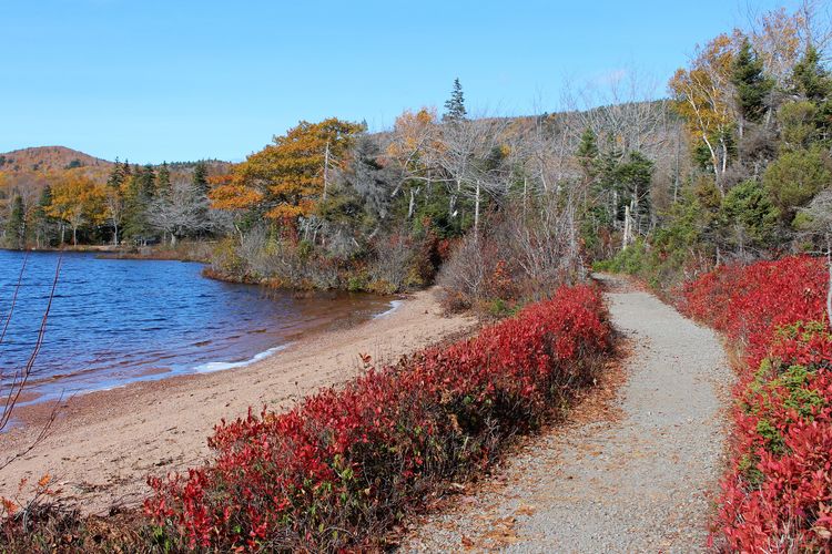 Links im Bildrand befindet sich ein blauer See. Ansonsten ist das Bild mit Bäumen gefüllt. Diese sind rot, orange, grün und braun gefärbt.